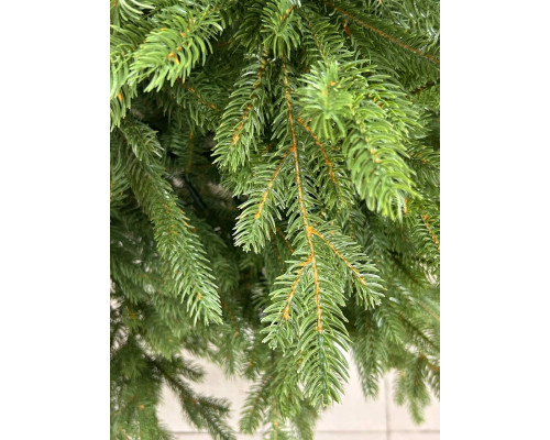 Елка искусственная Лацио 120 см