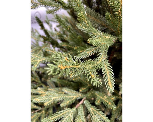 Ель искусственная Норвегия 220 см