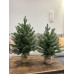 Ель настольная Руана 60 см