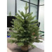 Ель настольная Руана 60 см