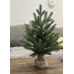 Ель настольная Руана 45 см