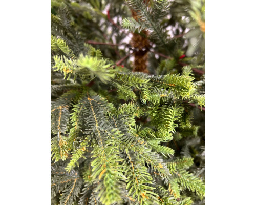 Ель искусственная Олбери 240 см