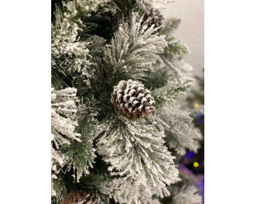 Сосна Snowy Bedford Pine